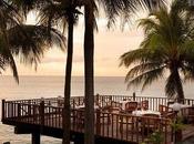 french touch cuisine chefs tête plus grands restaurants monde