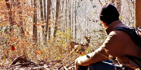 Critique L’homme-chevreuil : l’appel de la forêt