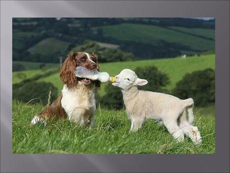 Divers - Familles recomposées