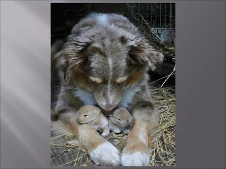 Divers - Familles recomposées