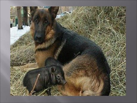 Divers - Familles recomposées