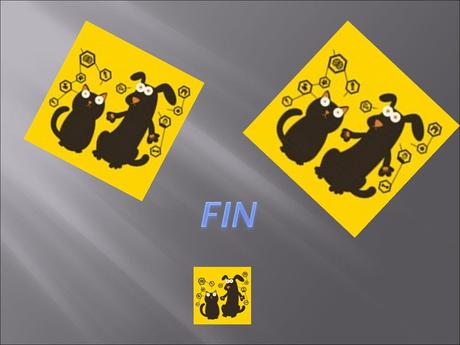 Divers - Familles recomposées