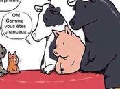 Critique Empathie notre survie