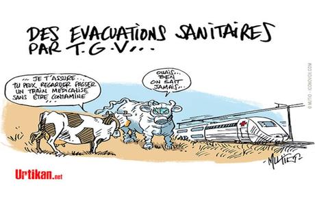 L’orgueil présidentiel et ses ravages.