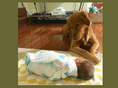 Divers - Que de la douceur 