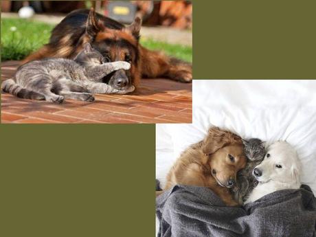 Divers - Que de la douceur 