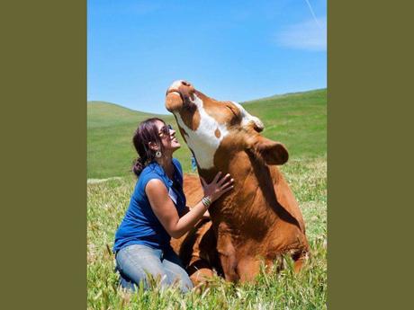 Divers - Que de la douceur 