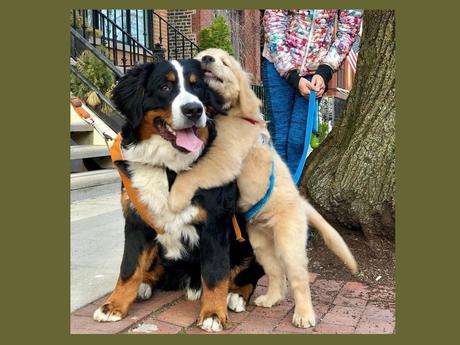 Divers - Que de la douceur 