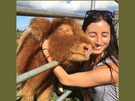 Divers - Que de la douceur 