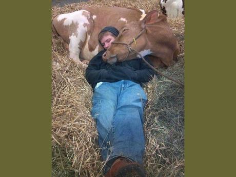 Divers - Que de la douceur 