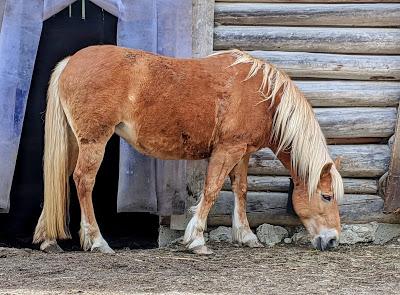 Wanderung / Balade Klais — Kranzbach — 20 Bilder / 20 photos