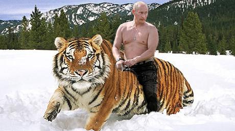 Vlad à Dos de Tigre
