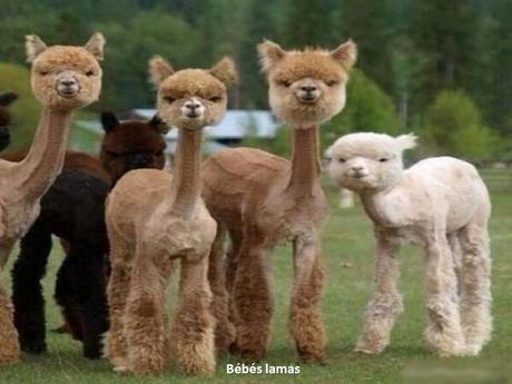 Divers- - De très belles Photos - 1