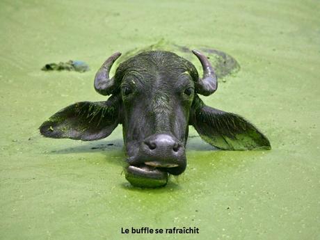 Divers- - De très belles Photos - 1