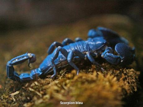 Divers- - De très belles Photos - 1