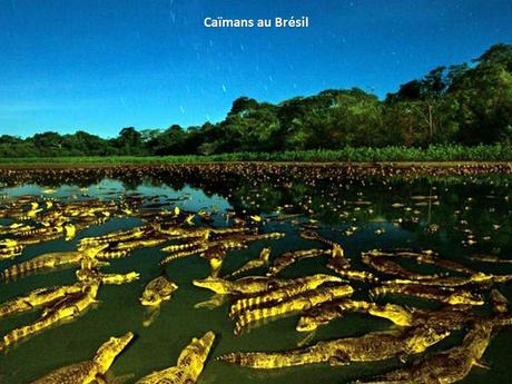 Divers- - De très belles Photos - 1