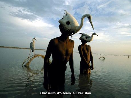 Divers- - De très belles Photos - 1