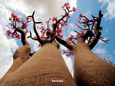 Divers- - De très belles Photos - 1