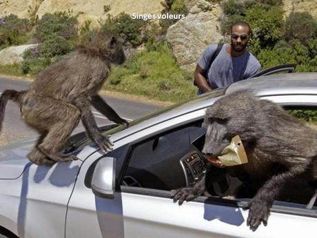 Divers- - De très belles Photos - 1