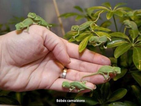 Divers- - De très belles Photos - 1