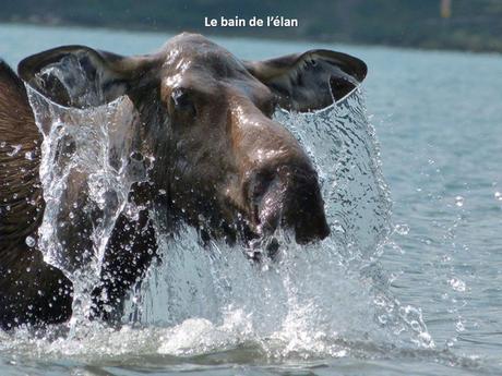 Divers- - De très belles Photos - 1