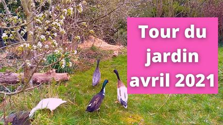 Tour du jardin début avril 2021(vidéo)