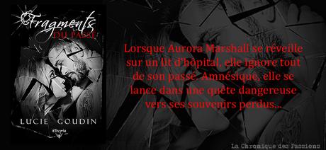 Fragments du passé de Lucie Goudin