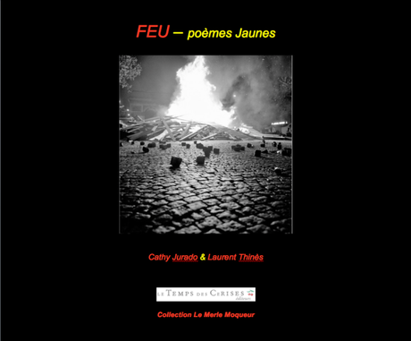 Extraits de « Feu-poèmes gilets jaunes » Cathy Jurado et Laurent Thinès (Editions Le Temps des Cerises)