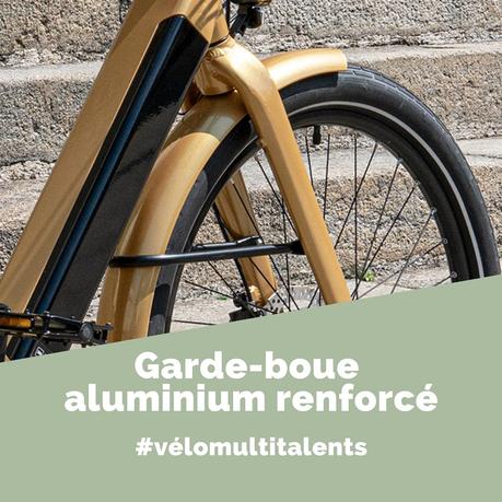 REINE BIKE : vélos français à assistance électrique haut de gamme et connectés