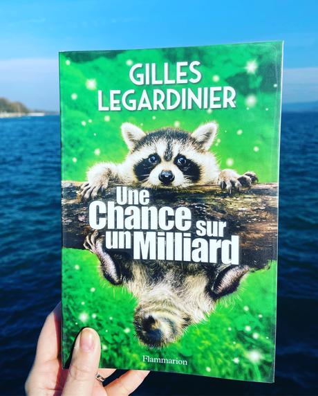 J’ai lu: Une chance sur un milliard de Gilles Legardinier