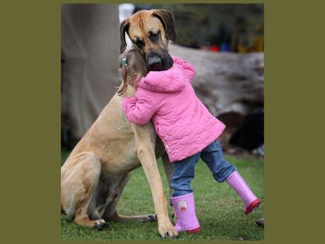 Divers - que de la douceur - 2