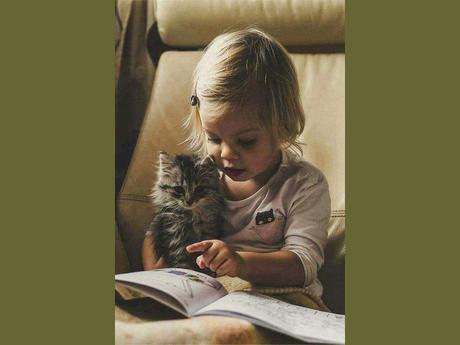 Divers - que de la douceur - 2