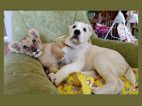 Divers - que de la douceur - 2