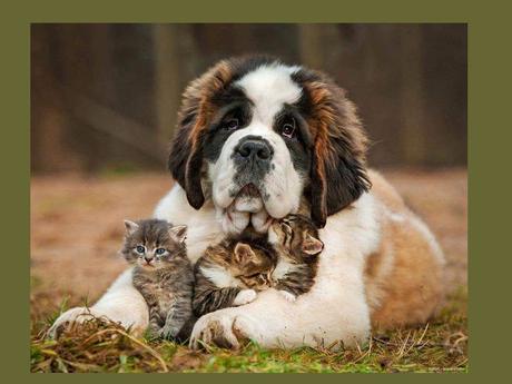 Divers - que de la douceur - 2