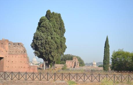 Mardi Tourisme: le Colisée et le Forum