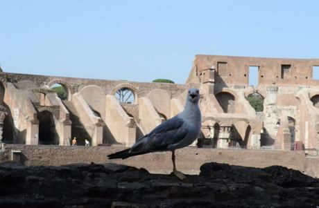 Mardi Tourisme: le Colisée et le Forum