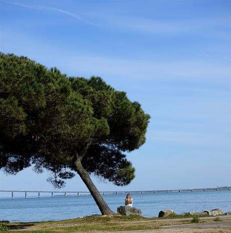 entre les deux entre les deux
