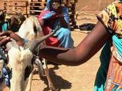 Coalition citoyenne pour Sahel veut refonte lutte contre l’insécurité