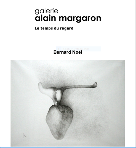 Galerie Alain Margaron « Le temps du regard » une grande disparition :Bernard Noel .