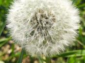 semaine confinée maison (01)