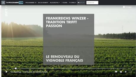 Le renouveau du vignoble français : la guerre des clones.