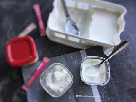 Skyr fait maison à la multidelices