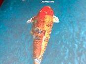 Grand Platinum d'Anthony Bossche