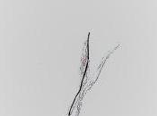 Olivier Vossot, L’Écart existe Sabine Dewulf