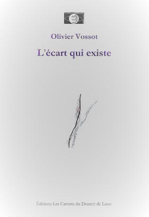 Olivier Vossot, L’Écart qui existe  par Sabine Dewulf