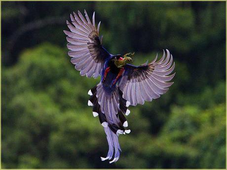 Divers - Superbe défilé de mode .....1