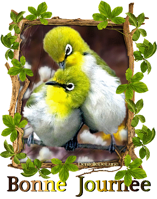 Divers - Superbe défilé de mode .....1