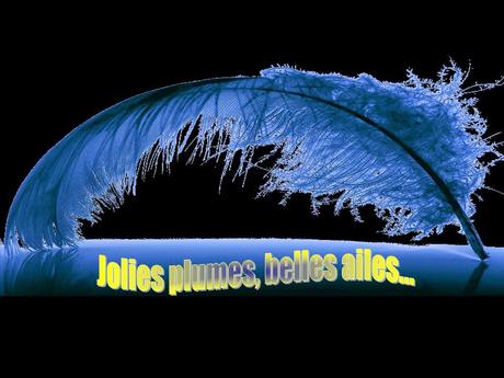 Divers - Superbe défilé de mode .....1