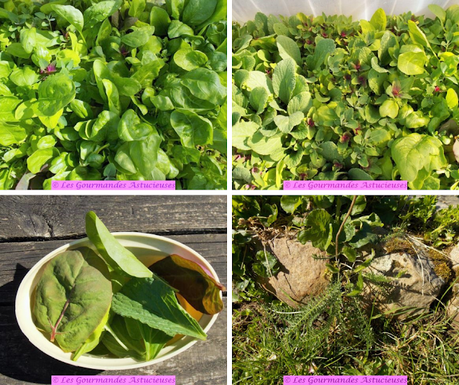 Tartinade aux flageolets (Vegan)