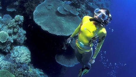 Divers - La beauté des Océans - 1